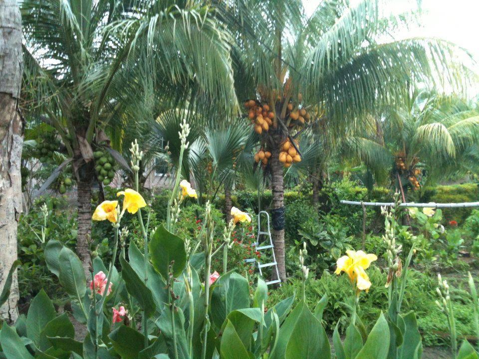 El Mirador Ecologico, Ometepe Hotel Altagracia Exterior photo